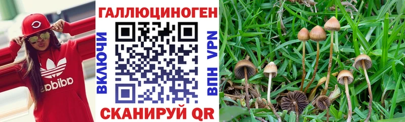 Галлюциногенные грибы GOLDEN TEACHER  Чусовой 